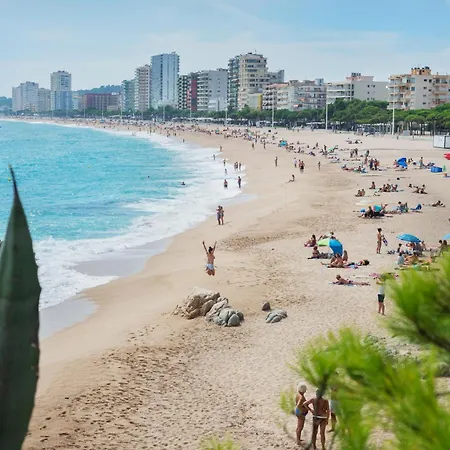 Oasi * Platja d'Aro (Playa de Aro)